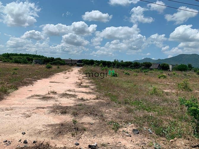 Hình ảnh Bán đất đối diện trường THCS Tóc Tiên 500m2 đường nhựa 5m giá 1 tỷ