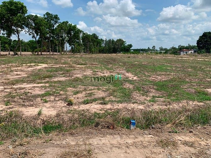 Hình ảnh Bán đất đối diện trường THCS Tóc Tiên 500m2 đường nhựa 5m giá 1 tỷ