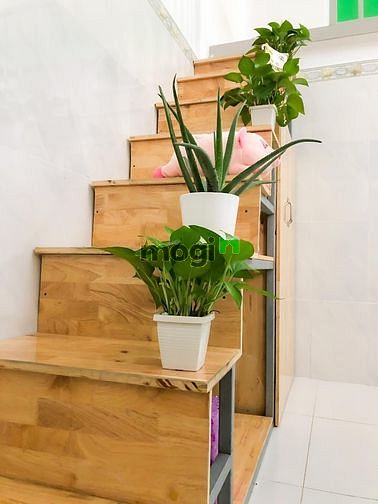 Hình ảnh Cho thuê Trang Chủ MB66.COM / Đăng Ký Tặng 66K mini có gác giá rẻ Q.Tân Bình