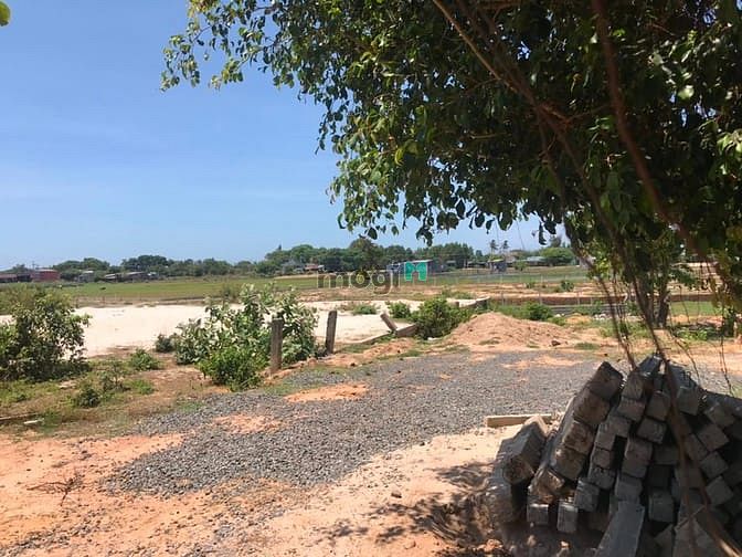 Hình ảnh Đất sát MT đường nhà thờ mân côi. Bình Thuận giá 1 tỷ 900 tr