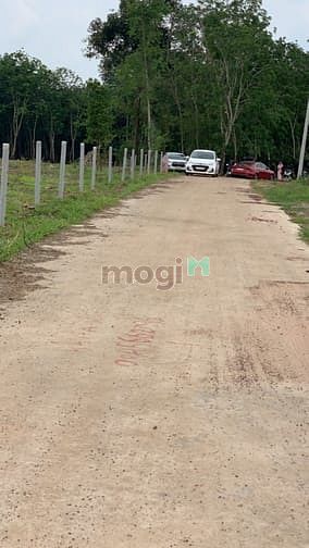 Hình ảnh Đất 100m² full thổ cư SHR giá 550tr full thuê phí
