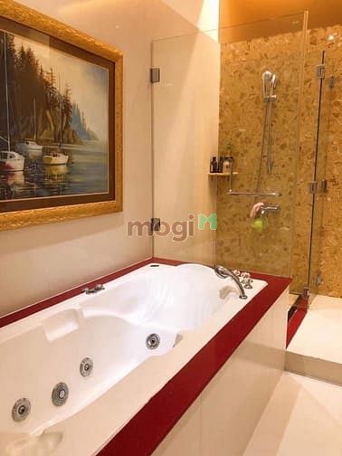 Hình ảnh Biệt thự đẳng cấp đường CMT8 , Tân Bình , CN 196m2