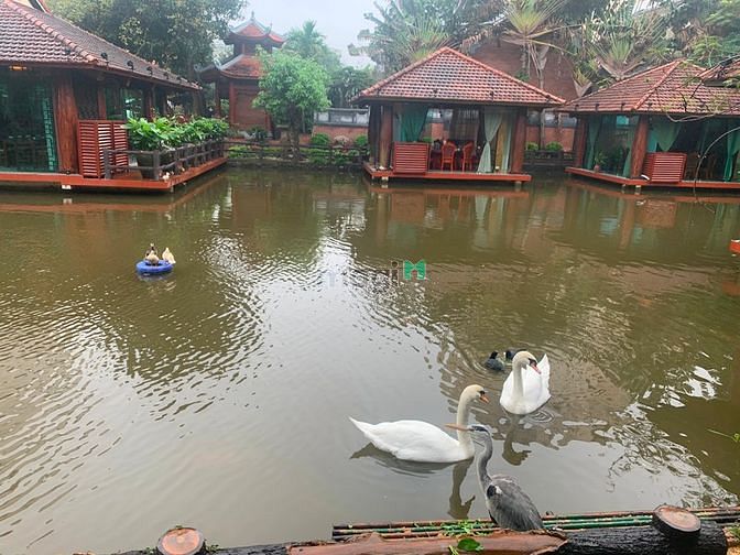 Hình ảnh Bán đất tổ 1 View hồ Thạch Bàn, Long Biên ô tô chạy vòng quanh