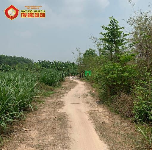 Hình ảnh Bán đất 1/ đường 758 - 1000m2 - 28x71 - 506m2 thổ cư - xã an nhơn tây