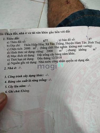 Hình ảnh Đất 2 sẹc ngắn quốc lộ 55. 2 sào. giá 1 tỷ 550