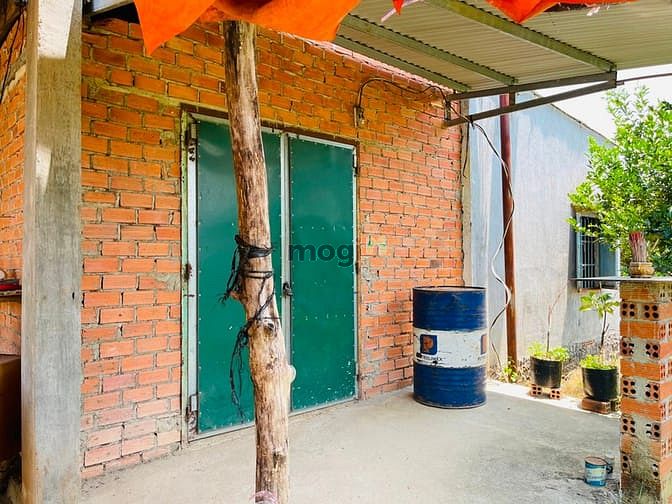 Hình ảnh Bán nhà cấp 4 3 gian có vườn quýt