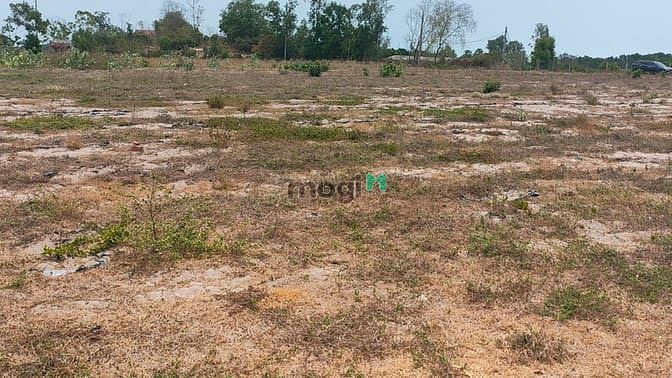 Hình ảnh Đất Biệt Thự Nghỉ Dưỡng Ven Biển Vũng Tàu Đất sổ liền