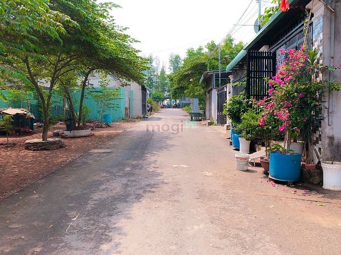 Hình ảnh Bán đất Phước Tân Đường Đinh Ân Sổ Hồng Riêng Thổ Cư (Hình Thưc Tế)