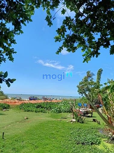 Hình ảnh Bán 215m thổ View bàu trắng, giá tốt cho khách thiện chí