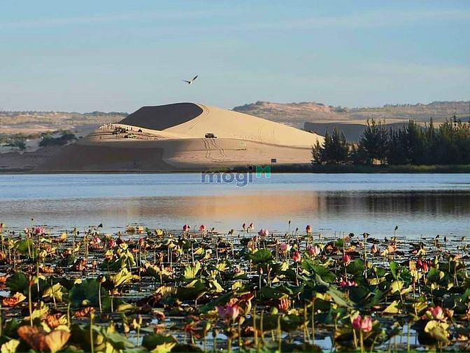 Hình ảnh Bán 215m thổ View bàu trắng, có clip quay thực tế