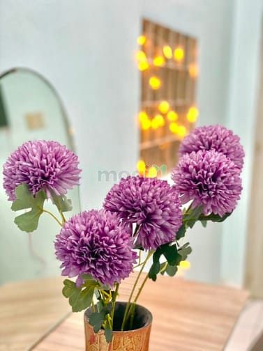 Hình ảnh Cho thuê CHDV,1PN,bếp riêng,Wc riêng có ban công,DT 30m2 full nội thất