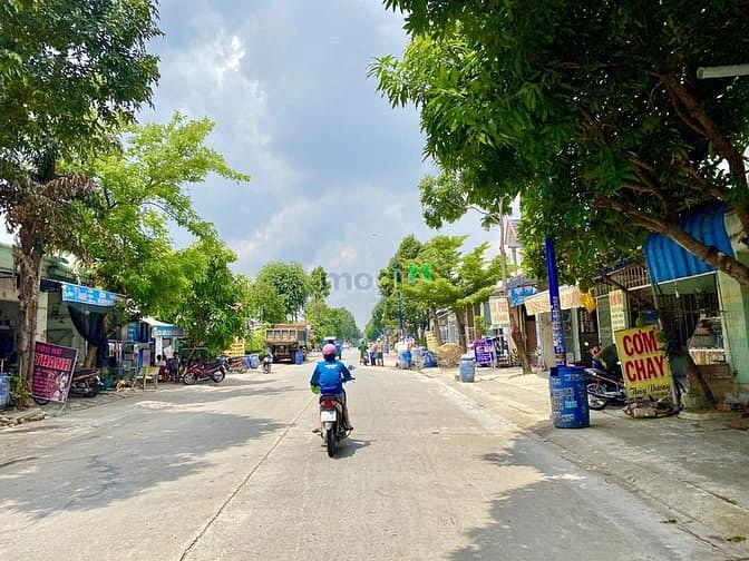 Hình ảnh Bán đất bến cát bình dương DT 5x30