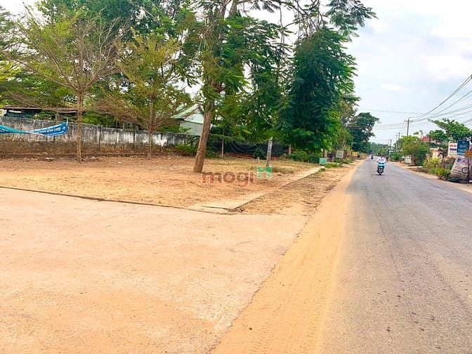 Hình ảnh 1.2tr/m2 Đất ONT ngay KCN Phước Bình-Long Thành