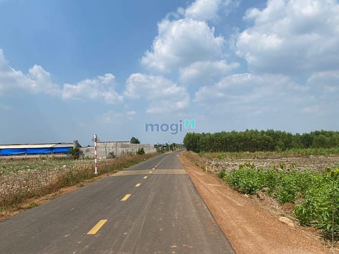 Hình ảnh 1.2tr/m2 Đất ONT ngay KCN Phước Bình-Long Thành