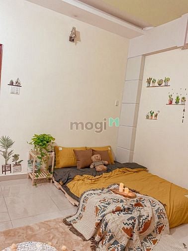 Hình ảnh 🗣 Nhà tôi cho thuê Trang Chủ MB66.COM / Đăng Ký Tặng 66K Phú Nhuận rẻ rề 💋💋