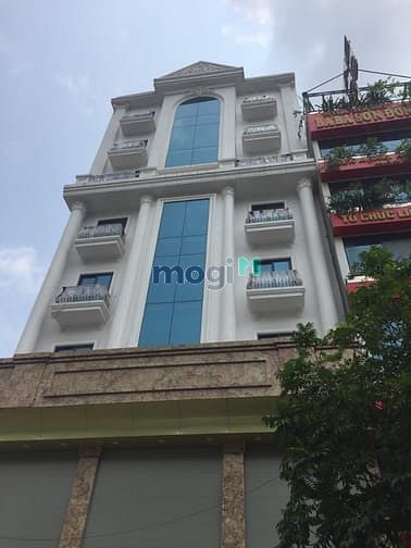 Hình ảnh Cho thuê nhà biệt thự mỹ đình 1