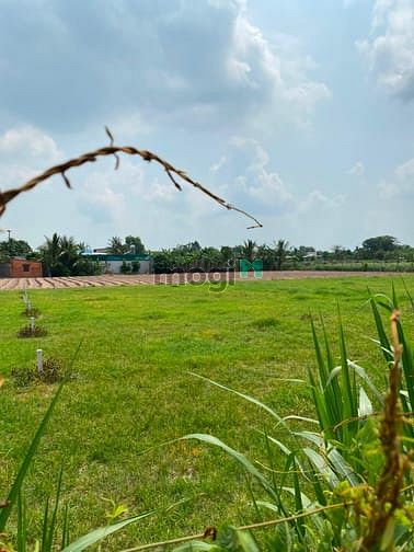 Hình ảnh vỡ nợ cần bán 580m2 . full thổ , shr công chứng liền . chỉ từ 6tr/m2