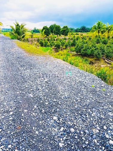 Hình ảnh chú ba cần tiền bán gấp đất bình chánh
