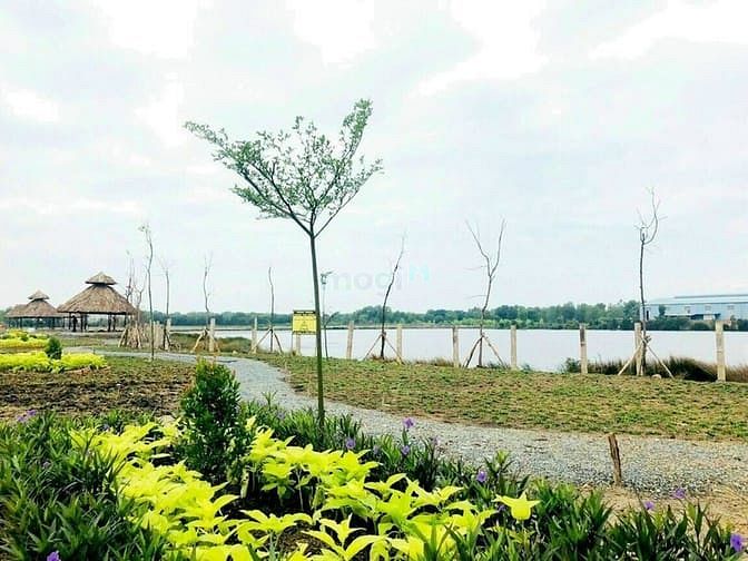 Hình ảnh MỞ BÁN 30 nền đất TÊN LỬA-MT Trần văn Giàu gần AEON BÌNH TÂN15tr/m2.