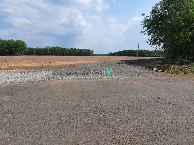 Hình ảnh chỉ 450 triệu sở hữu 1000m2 , đất đồng phú, sổ sẵn