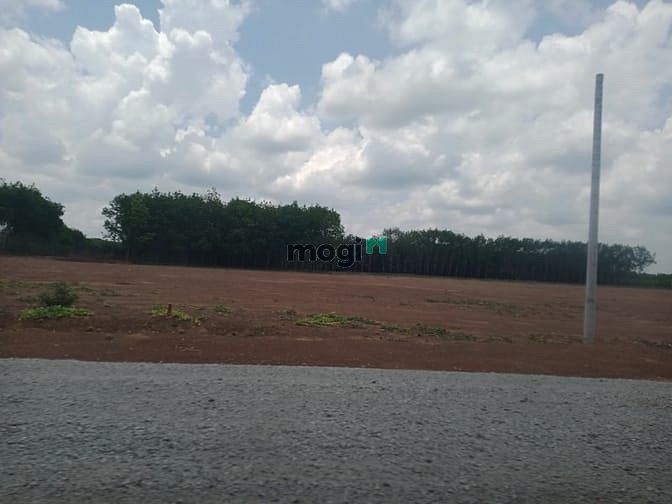 Hình ảnh chỉ 450 triệu sở hữu 1000m2 , đất đồng phú, sổ sẵn