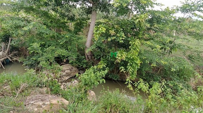 Hình ảnh Bán 4.8 ha đất Tân Xuân, Hàm Tân sinh lời nhanh