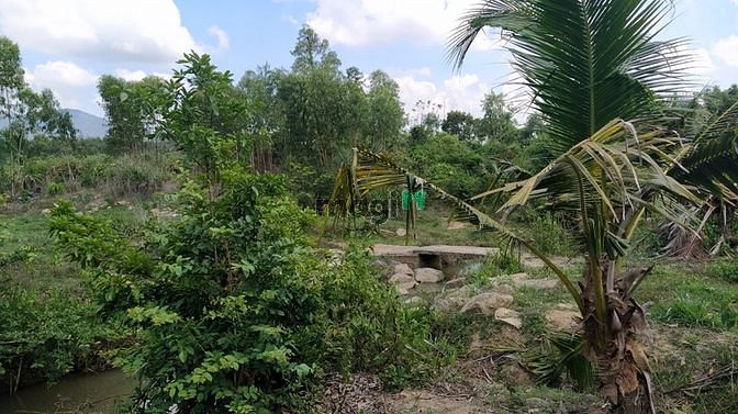 Hình ảnh Bán 4.8 ha đất Tân Xuân, Hàm Tân sinh lời nhanh