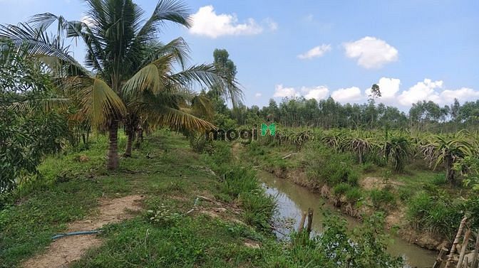 Hình ảnh Bán 4.8 ha đất Tân Xuân, Hàm Tân sinh lời nhanh