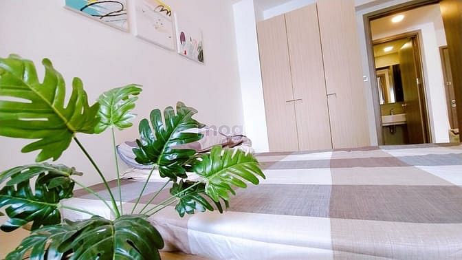 Hình ảnh Cho thuê Trang Chủ MB66.COM / Đăng Ký Tặng 66K ICON 56, quận 4 🏫50m 1pn 1wc full nội thất