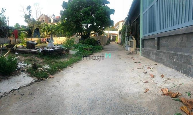 Hình ảnh Cần bán gấp lô đất hẻm 61 đường Hàng tre, p. Long Thạnh Mỹ 5×23=116m2