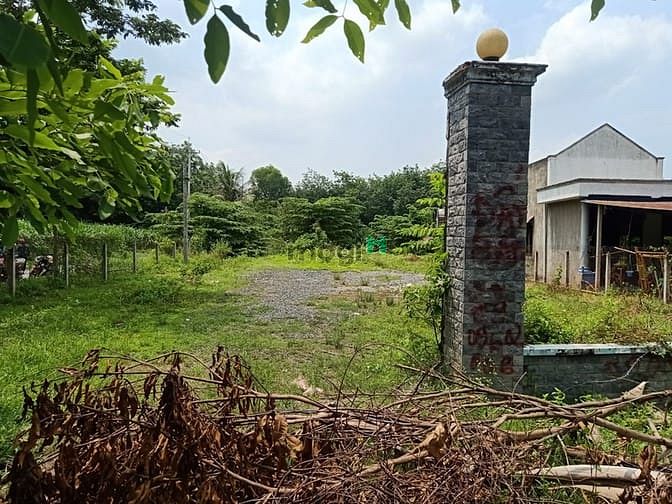 Hình ảnh Hai Vợ Chông cần bán đất làm ăn