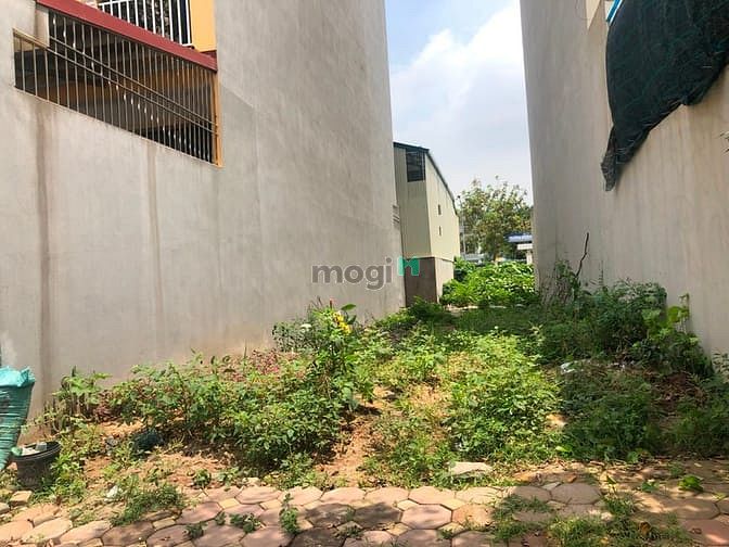 Hình ảnh Bán 87m đất đấu giá Phúc Lợi, sau chung cư Ecohome, kinh doanh được ng