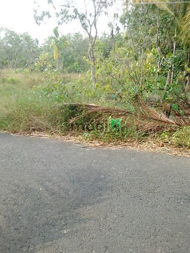 Hình ảnh Nền đất đẹp mặt tiền lộ nhựa thông thương 200m2