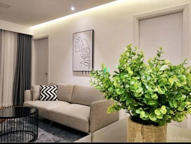 Hình ảnh Cho thuê Trang Chủ MB66.COM / Đăng Ký Tặng 66K chung cư tại Dự án Riviera Point, Quận 7, Tp.HCM diện