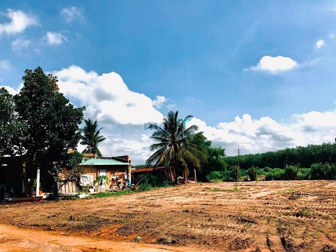 Hình ảnh Hết đất 495tr, full thổ cư Cạnh TP. Tây Ninh