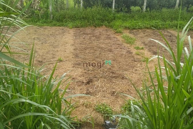 Hình ảnh Cần bán lô đất mặt tiền đường giá rẻ