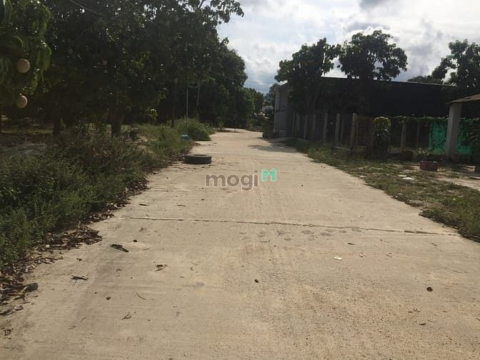 Hình ảnh Cần bán lô đất mặt tiền đường Hải Thượng Lãng Ông