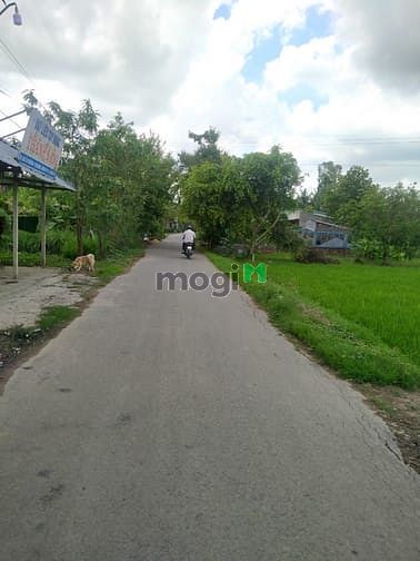 Hình ảnh Đất thổ mặt tiền rộng 150m2 full giá rẻ