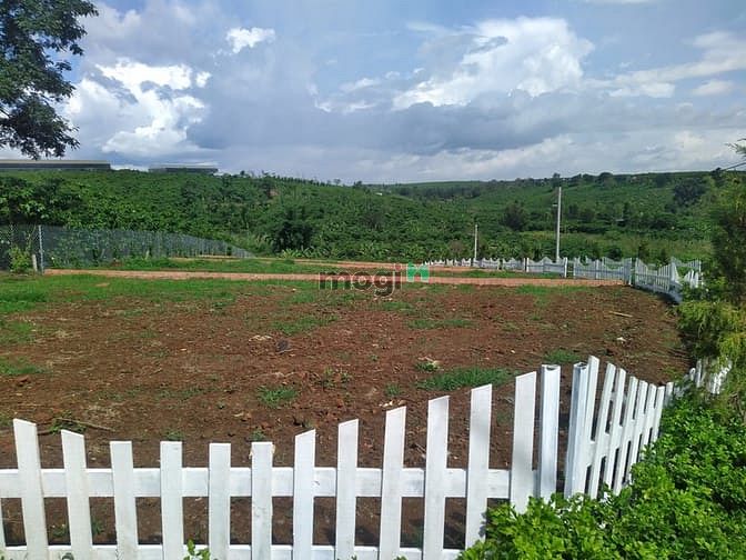 Hình ảnh Đất nền nghỉ dưỡng Lộc Quảng, Bảo Lâm