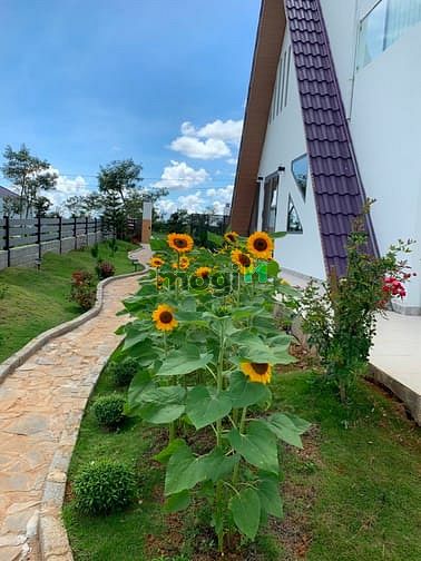 Hình ảnh Đất nền nghỉ dưỡng Lộc Quảng, Bảo Lâm