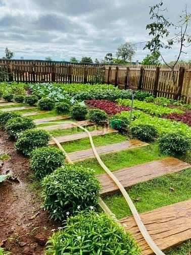 Hình ảnh Đất nền nghỉ dưỡng Lộc Quảng, Bảo Lâm