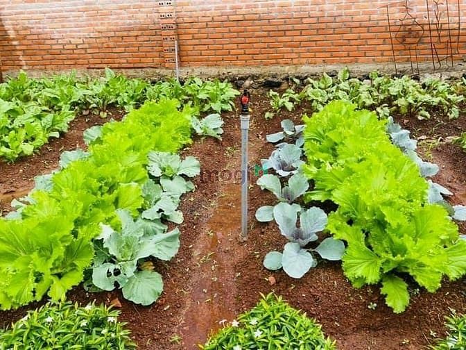 Hình ảnh Đất nền nghỉ dưỡng Lộc Quảng, Bảo Lâm