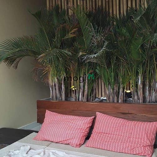 Hình ảnh ❤Cho thuê Trang Chủ MB66.COM / Đăng Ký Tặng 66K Grand Riverside, quận 4 - NTDD