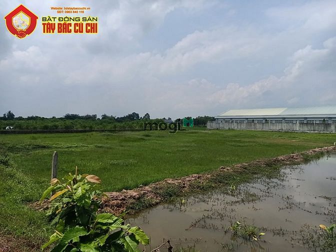 Hình ảnh Bán đất đường số 80 - 3223m2 - 48x64 - 1873m2 thổ cư - xã phước hiệp