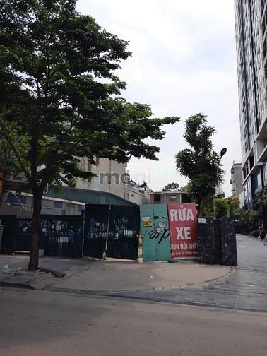 Hình ảnh Cho thuê mặt bằng 1200m2 đất phố Vũ Tông Phan, Thanh Xuân
