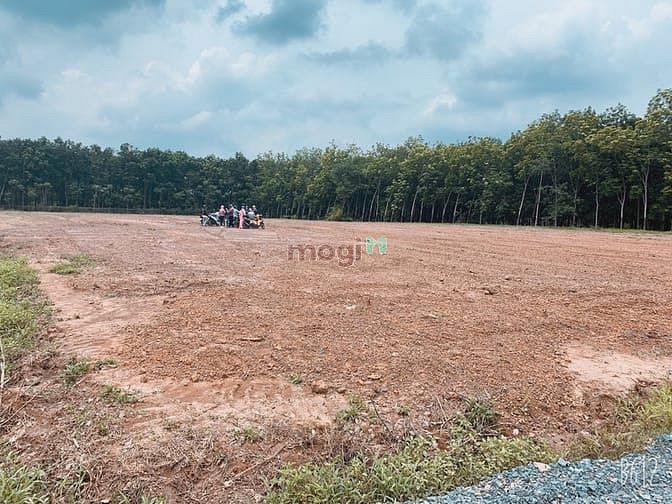 Hình ảnh Đất Tân Quan, 340m2 , sổ hồng riêng, chỉ 630 triệu tặng vàng 9999