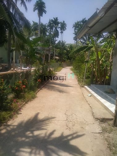 Hình ảnh Cần bán gắp đất rộng 784m2 thổ + 2 căn nhà