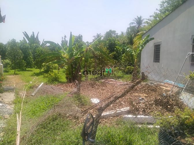 Hình ảnh Cần bán gắp đất rộng 784m2 thổ + 2 căn nhà