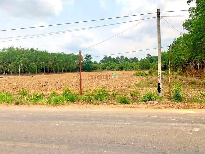 Hình ảnh VỊ TRÍ ĐẸP, SINH LỜI TỐT: Bán 1001m2 đất Phước Bình-Long Thành