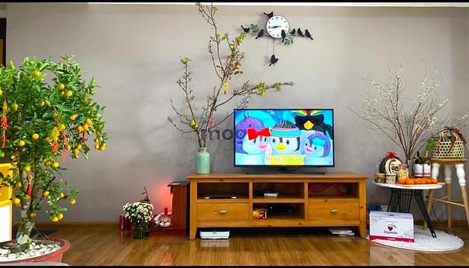 Hình ảnh Bán Trang Chủ MB66.COM / Đăng Ký Tặng 66K Ruby garden ,quận Tân Bình, có Sổ Hồng, 105m2 2PN Full nt